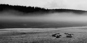 Exploring the Lyrical Darkness: Black Metal's Themes - Cover Image