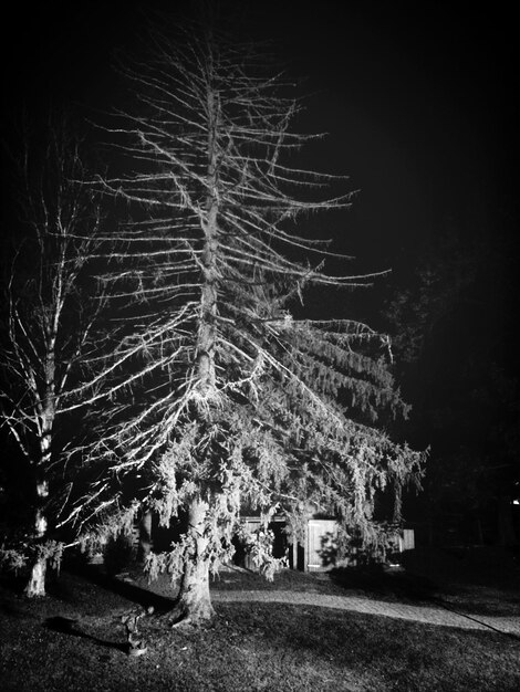 A black and white photograph of a snow-covered graveyard, with gnarled trees silhouetted against a grey sky. The gravestones are weathered and ancient, suggesting themes of death, decay, and the passage of time.
