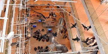 Heavy Metal Concert Security: Your Guide to Staying Safe in 2025 - Cover Image
