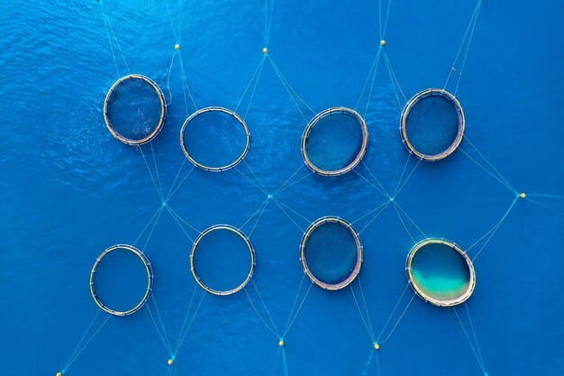 A network of interconnected nodes representing data, with a magnifying glass hovering over it. The image symbolizes the concepts of data mining and analysis, highlighting the ability to extract insights from large datasets while also raising concerns about privacy and potential misuse of personal information.