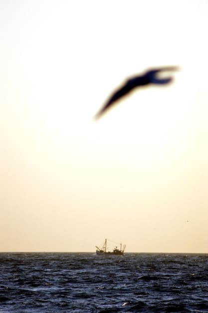 A photograph of a US Navy aircraft carrier at sea, indicating the projection of American military power and the commitment to maintaining maritime security and freedom of navigation. The image should also reflect technological advancement and global reach.
