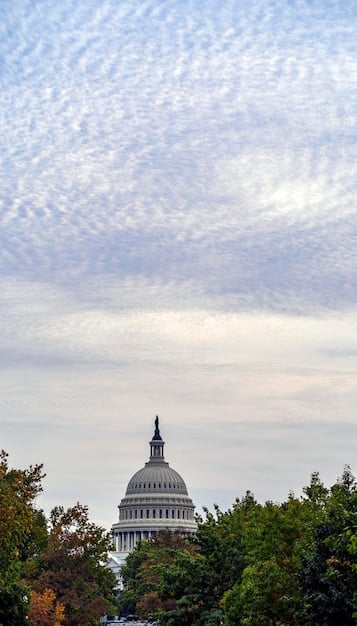 What Happens After the Election: Power Transition and Inauguration 2025