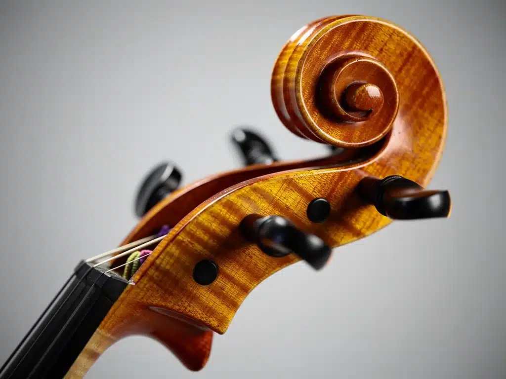 Detailed view of cello scroll, highlighting craftsmanship and wood quality.