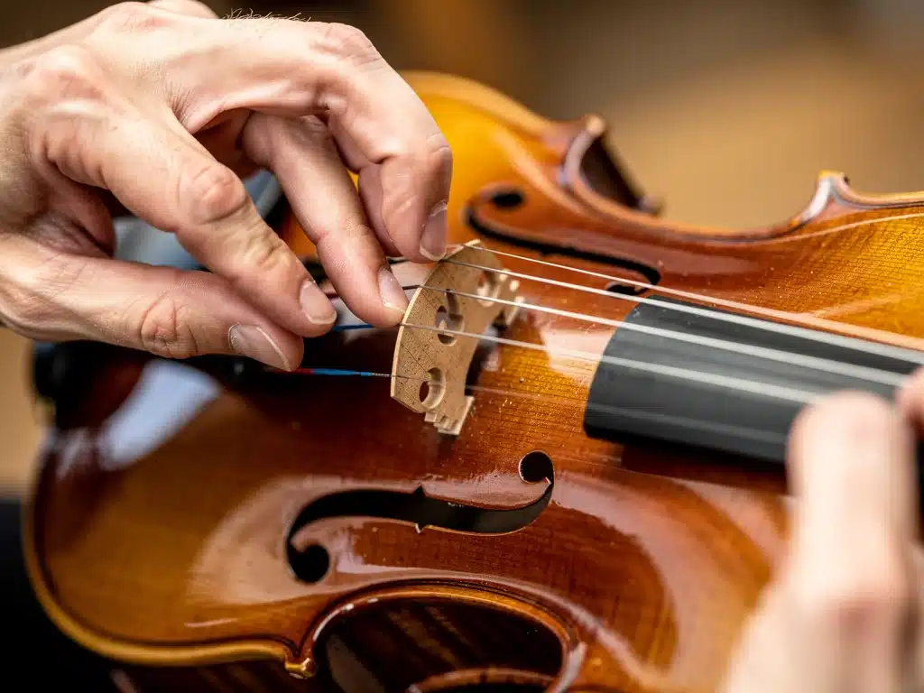 Musician's hands examining violin bridge and strings for quality and setup.